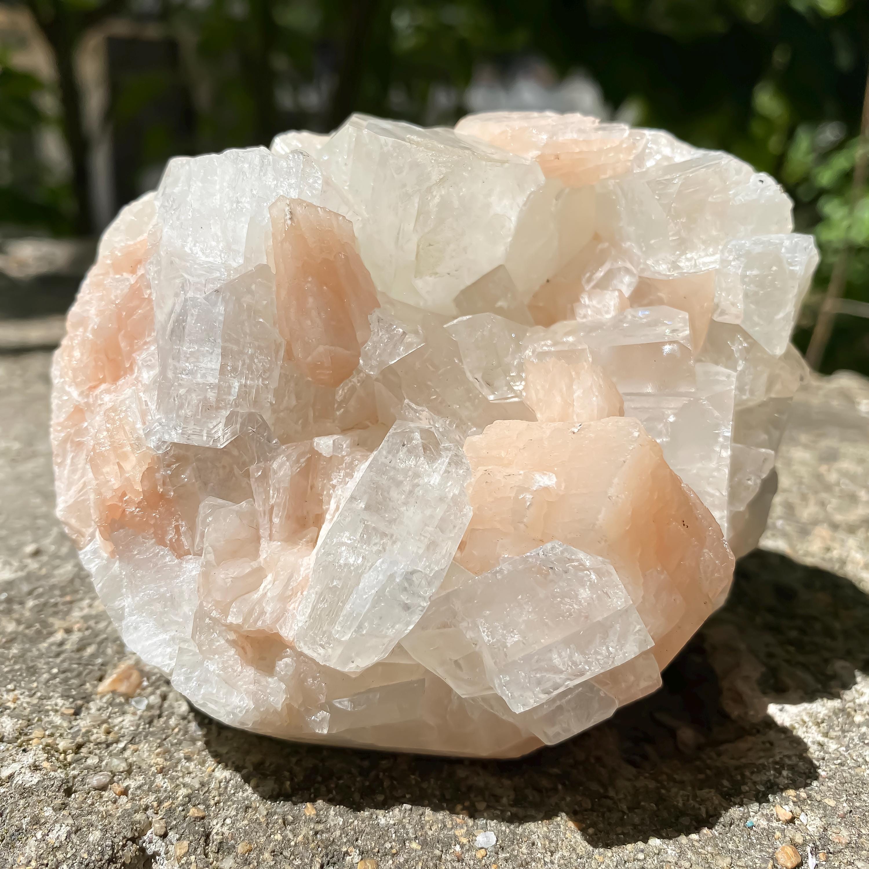 Natural Apophyllite Stilbite Geode Cluster : Rare Zeolite Crystal for Calm 535gm