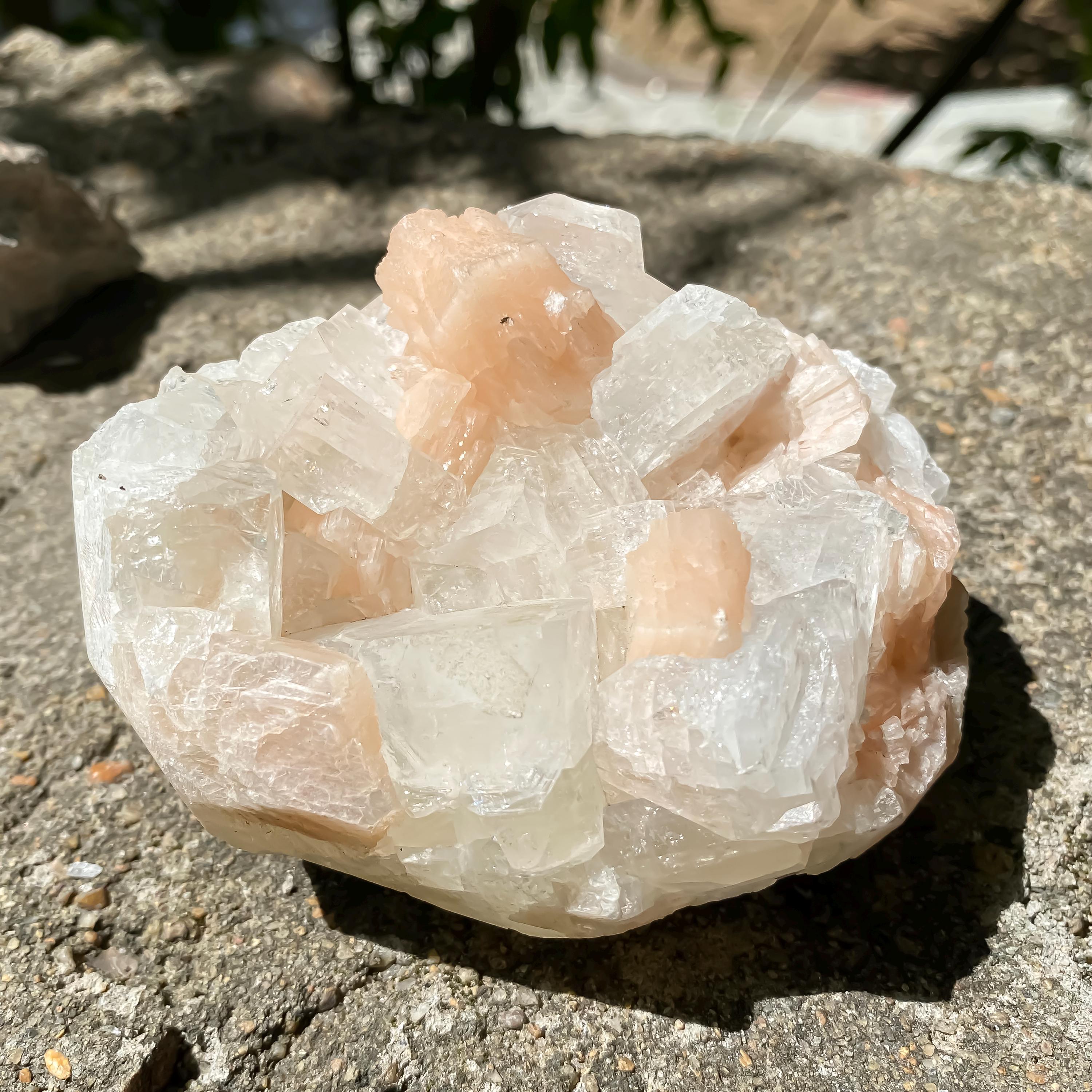 Natural Apophyllite Stilbite Geode Cluster : Rare Zeolite Crystal for Calm 535gm