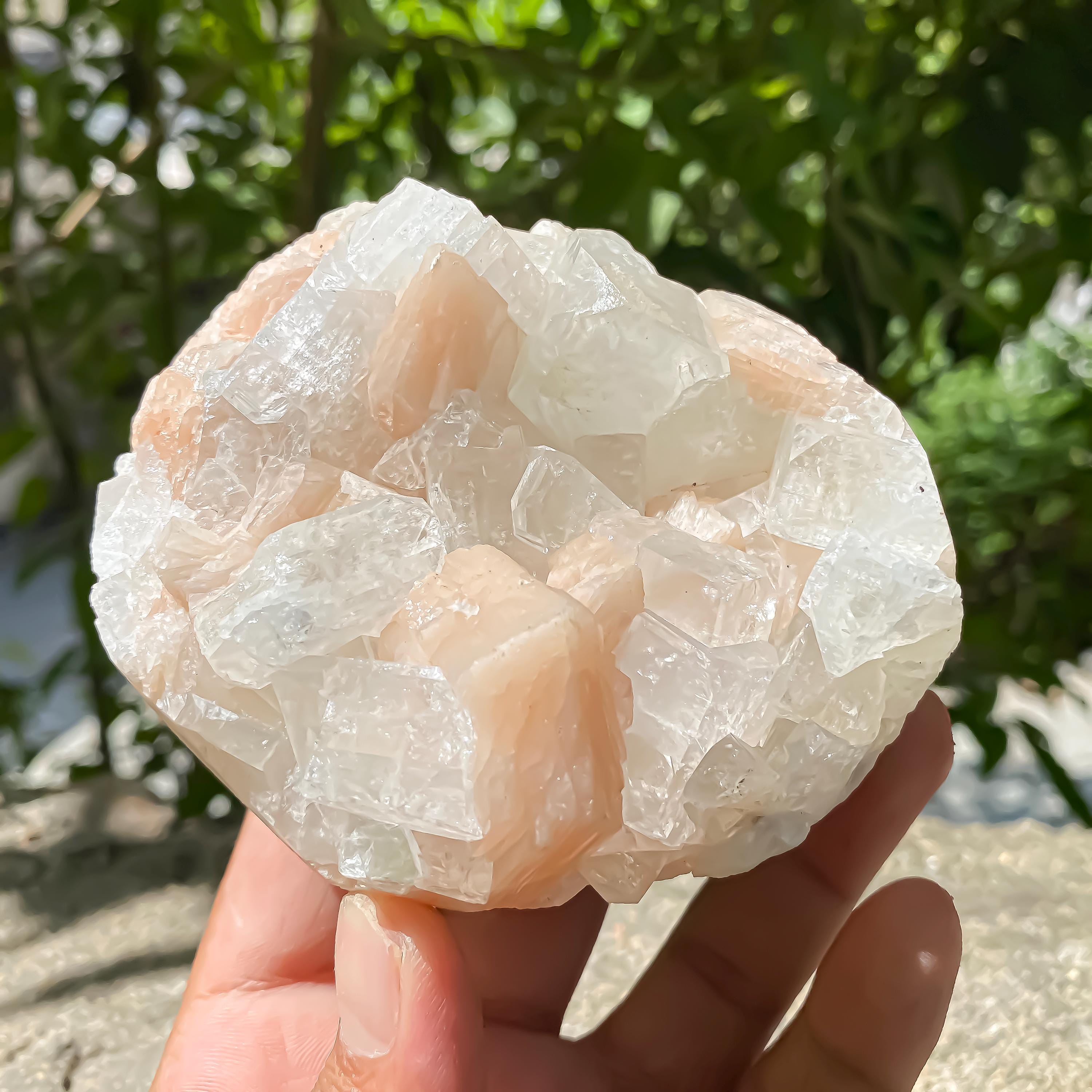 Natural Apophyllite Stilbite Geode Cluster : Rare Zeolite Crystal for Calm 535gm