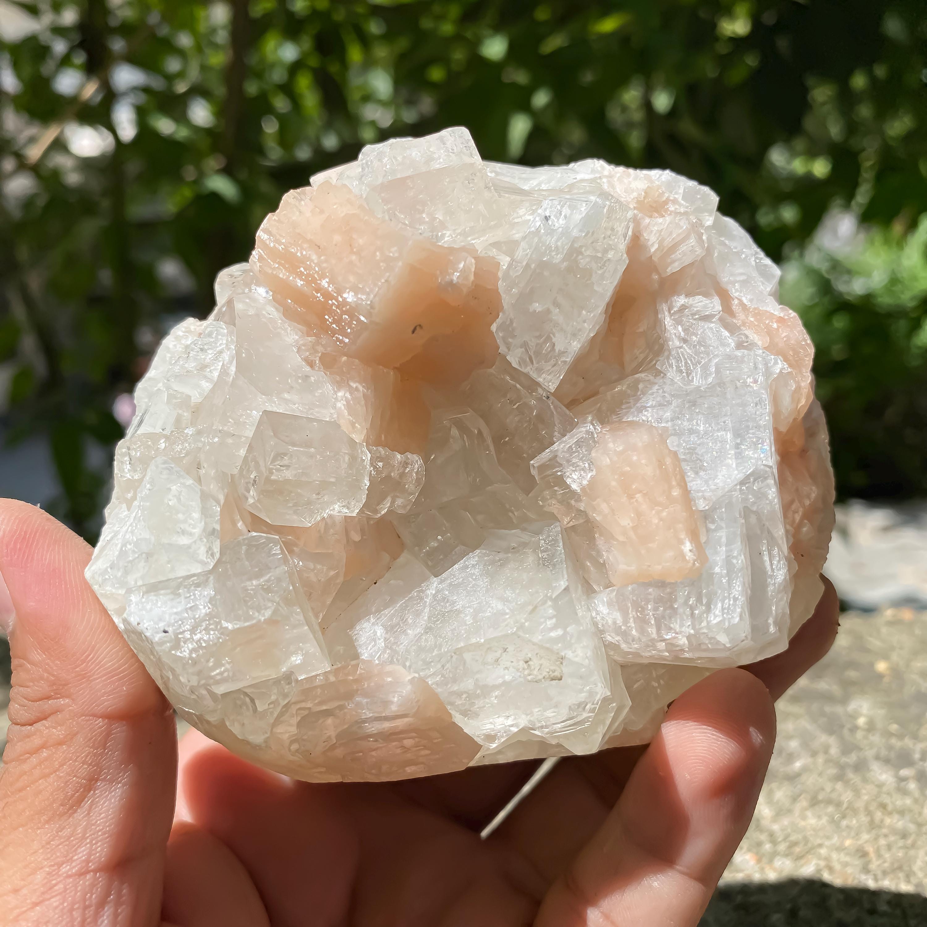 Natural Apophyllite Stilbite Geode Cluster : Rare Zeolite Crystal for Calm 535gm