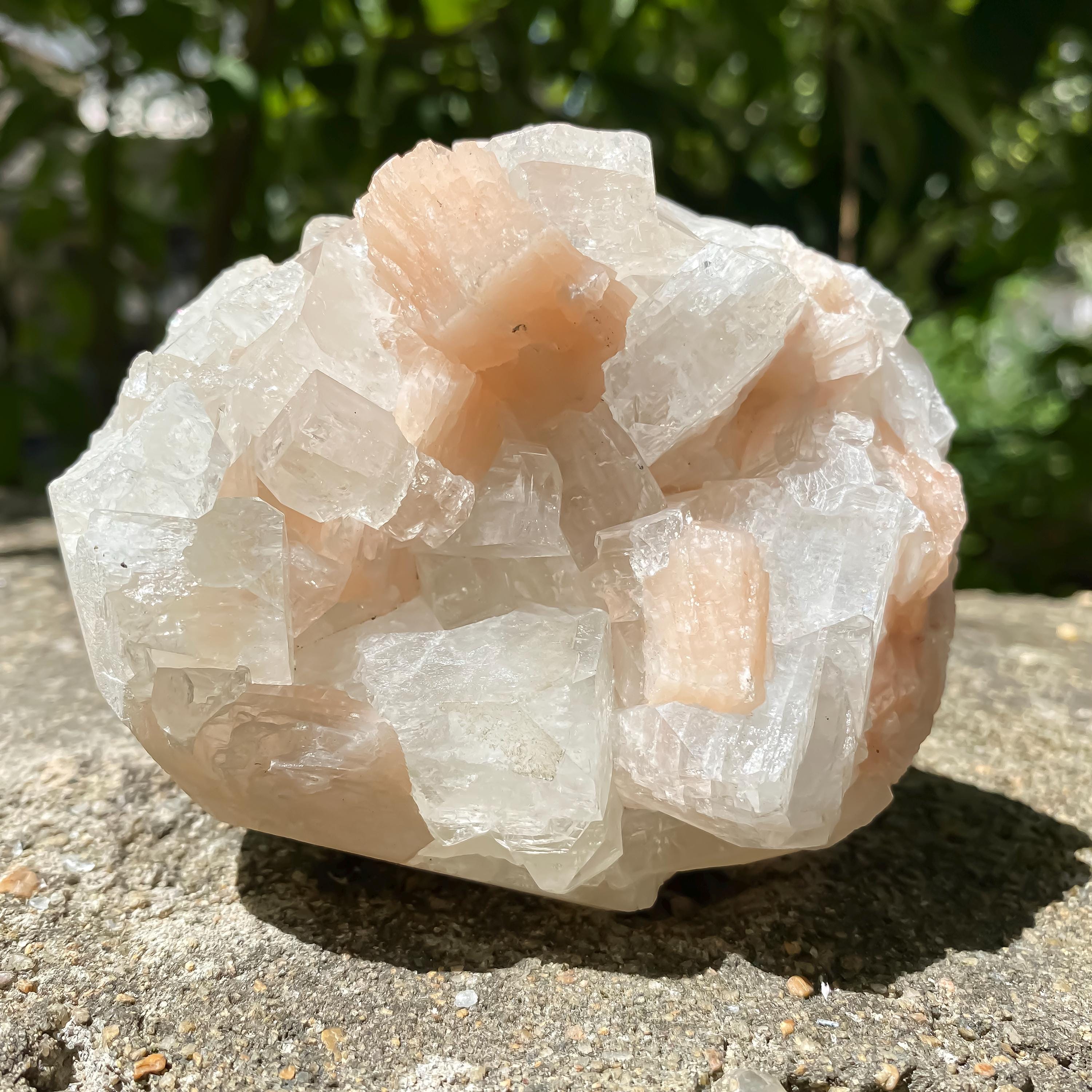 Natural Apophyllite Stilbite Geode Cluster : Rare Zeolite Crystal for Calm 535gm