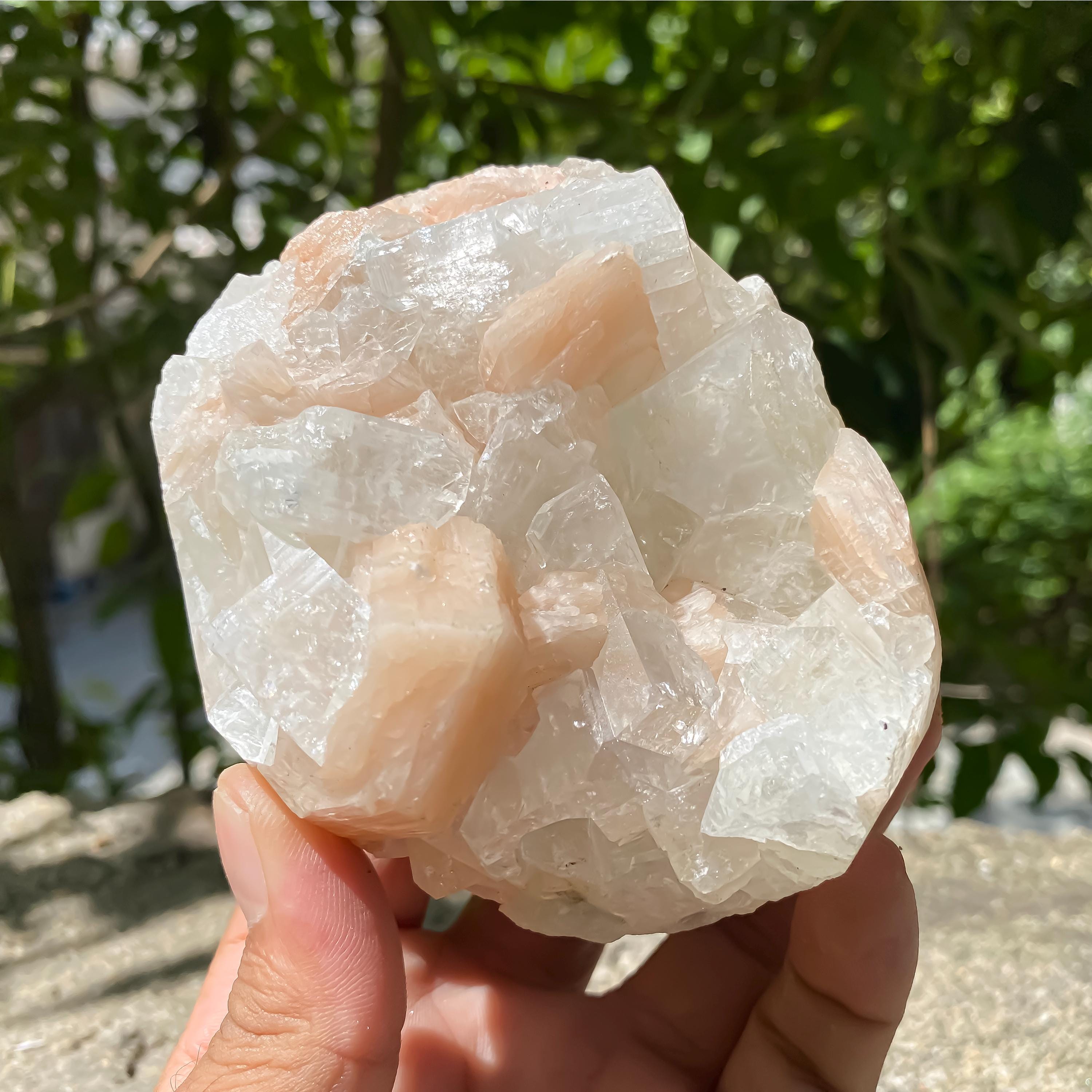 Natural Apophyllite Stilbite Geode Cluster : Rare Zeolite Crystal for Calm 535gm