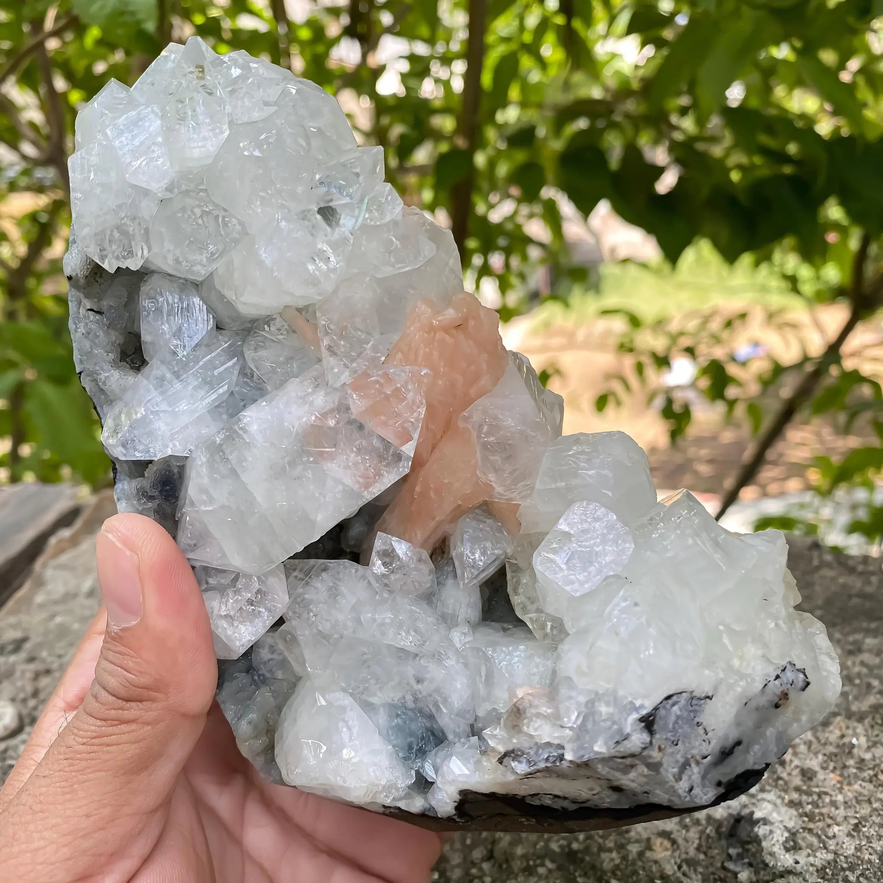 Apophyllite Cluster Geode Natural Sparkling Crystal Points, Healing Mineral Specimen, Reiki Stone Rough Zeolite