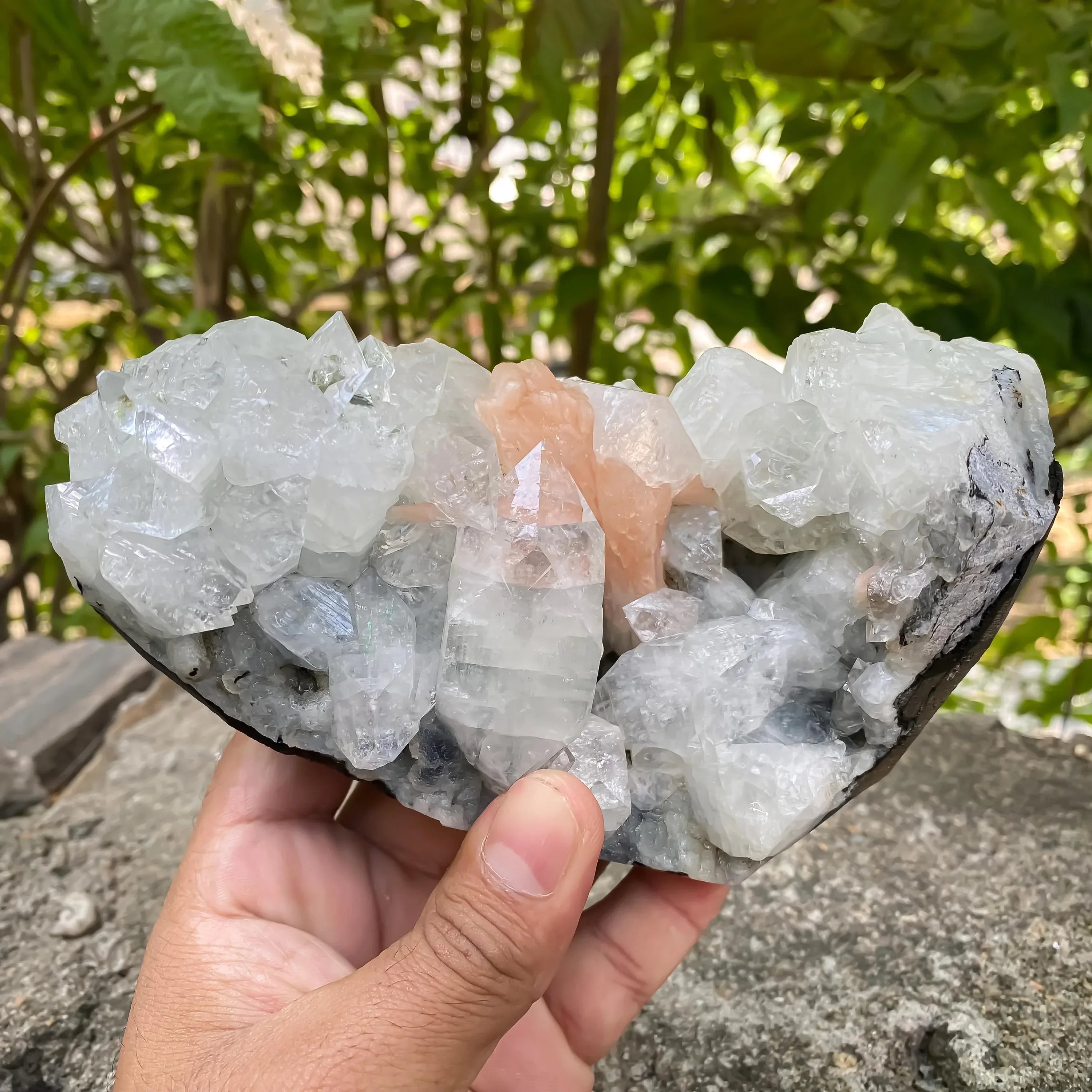 Apophyllite Cluster Geode Natural Sparkling Crystal Points, Healing Mineral Specimen, Reiki Stone Rough Zeolite