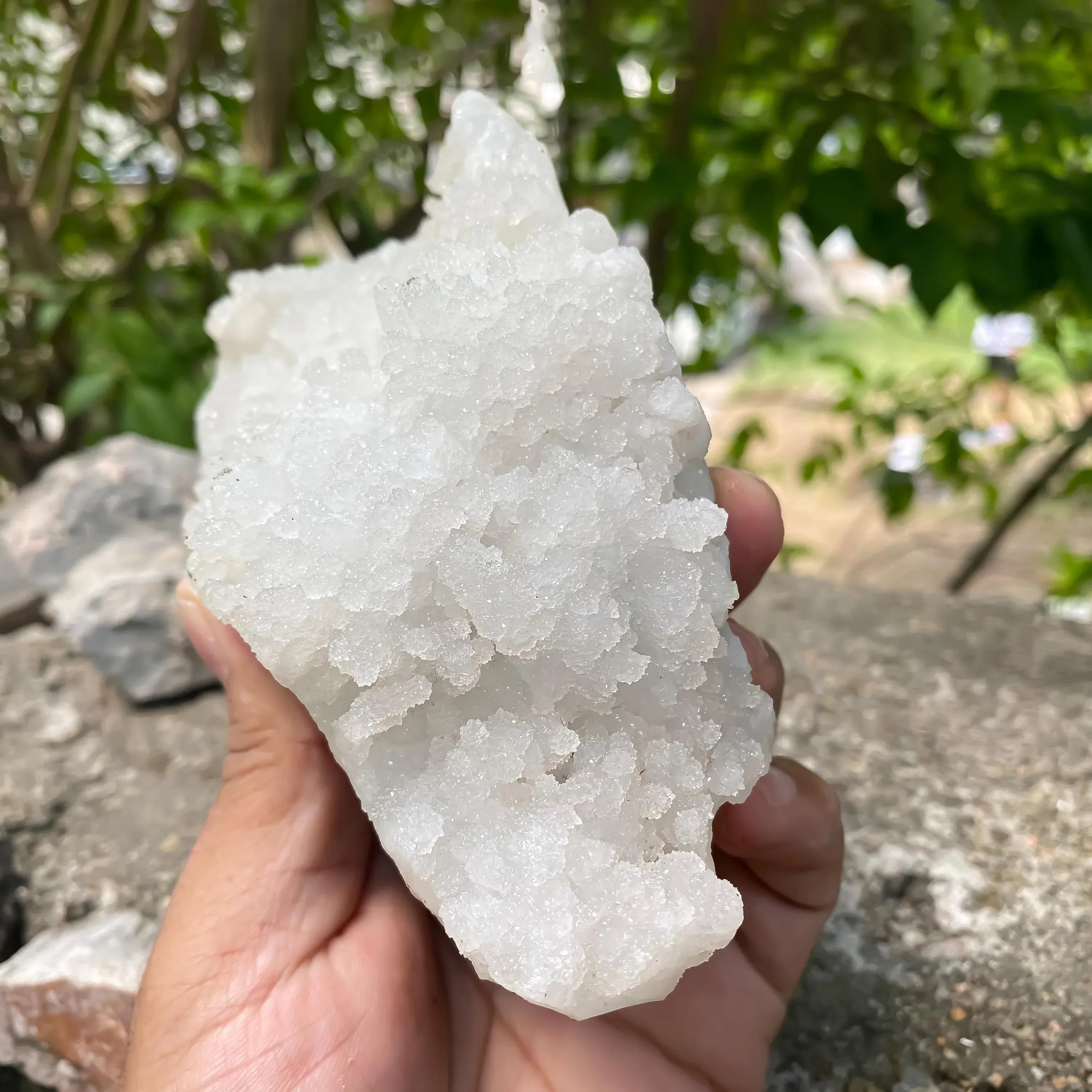 Chalcedony Apophyllite Cluster: 710gm Healing Crystal Decor Zeolite