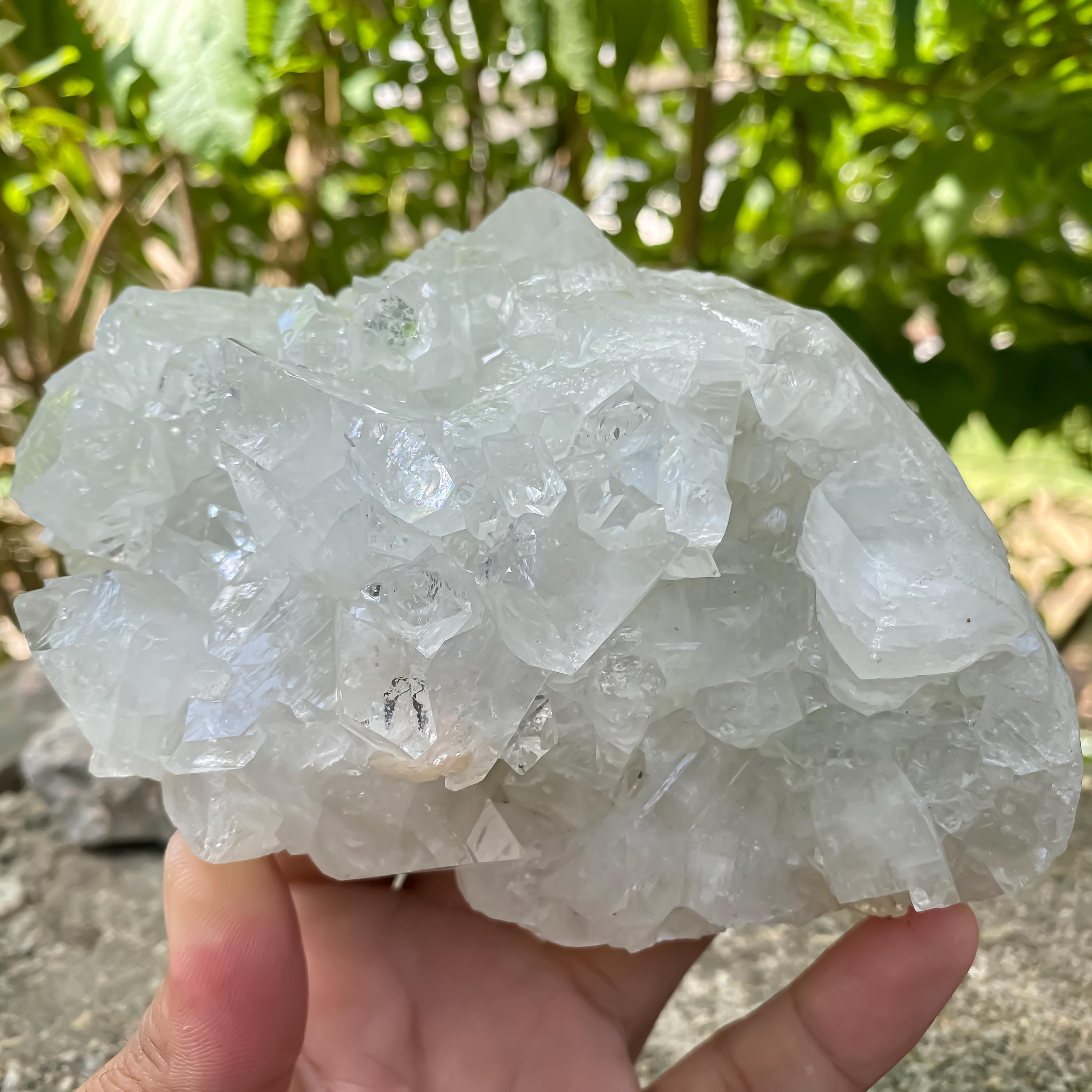 Raw White Apophyllite Crystal Cluster | Reiki Healing Stone