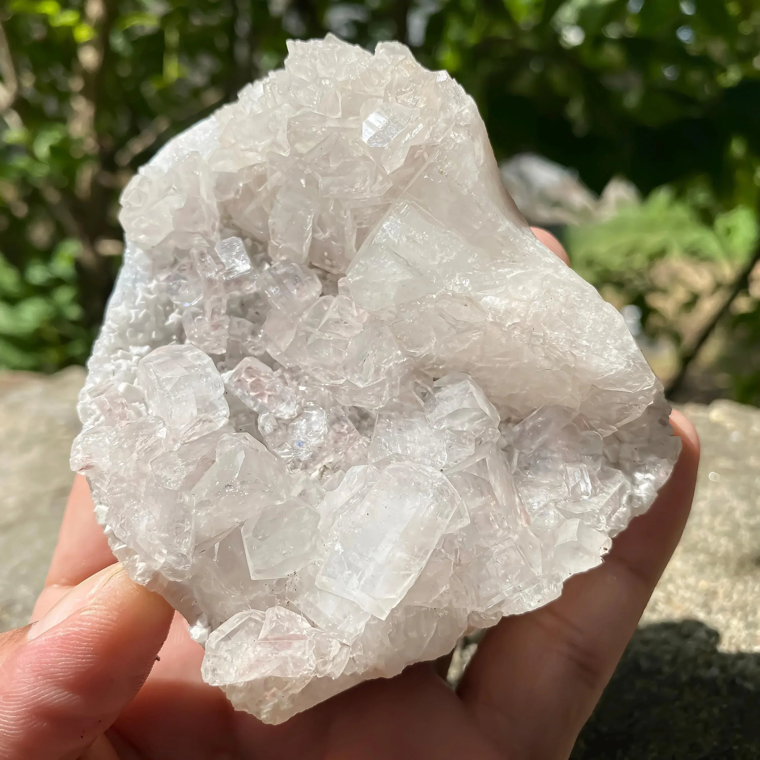 Apophyllite Zeolite Cluster: Meditation Decor Rough 225gm Zeolite