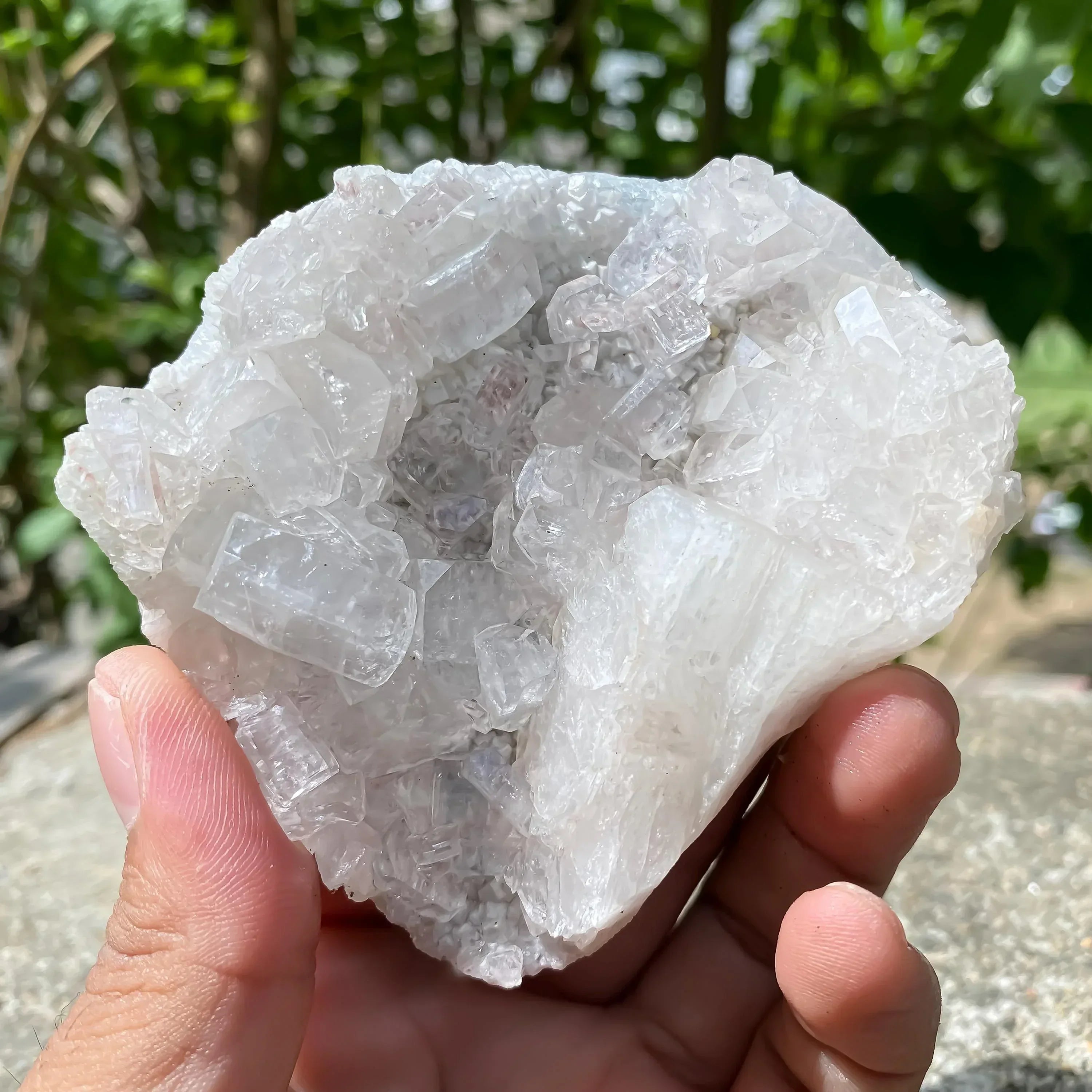 Apophyllite Zeolite Cluster: Meditation Decor Rough 225gm Zeolite