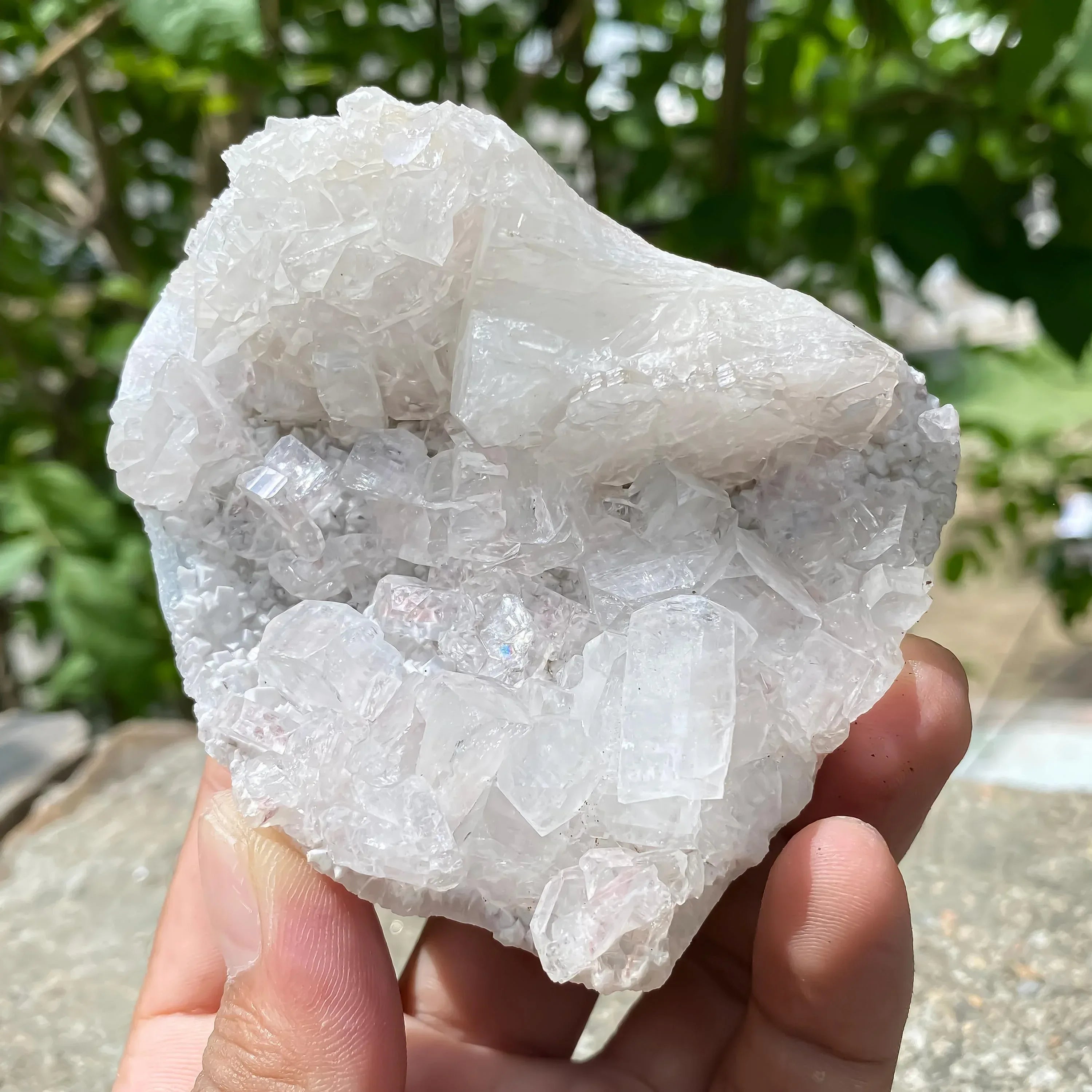 Apophyllite Zeolite Cluster: Meditation Decor Rough 225gm Zeolite