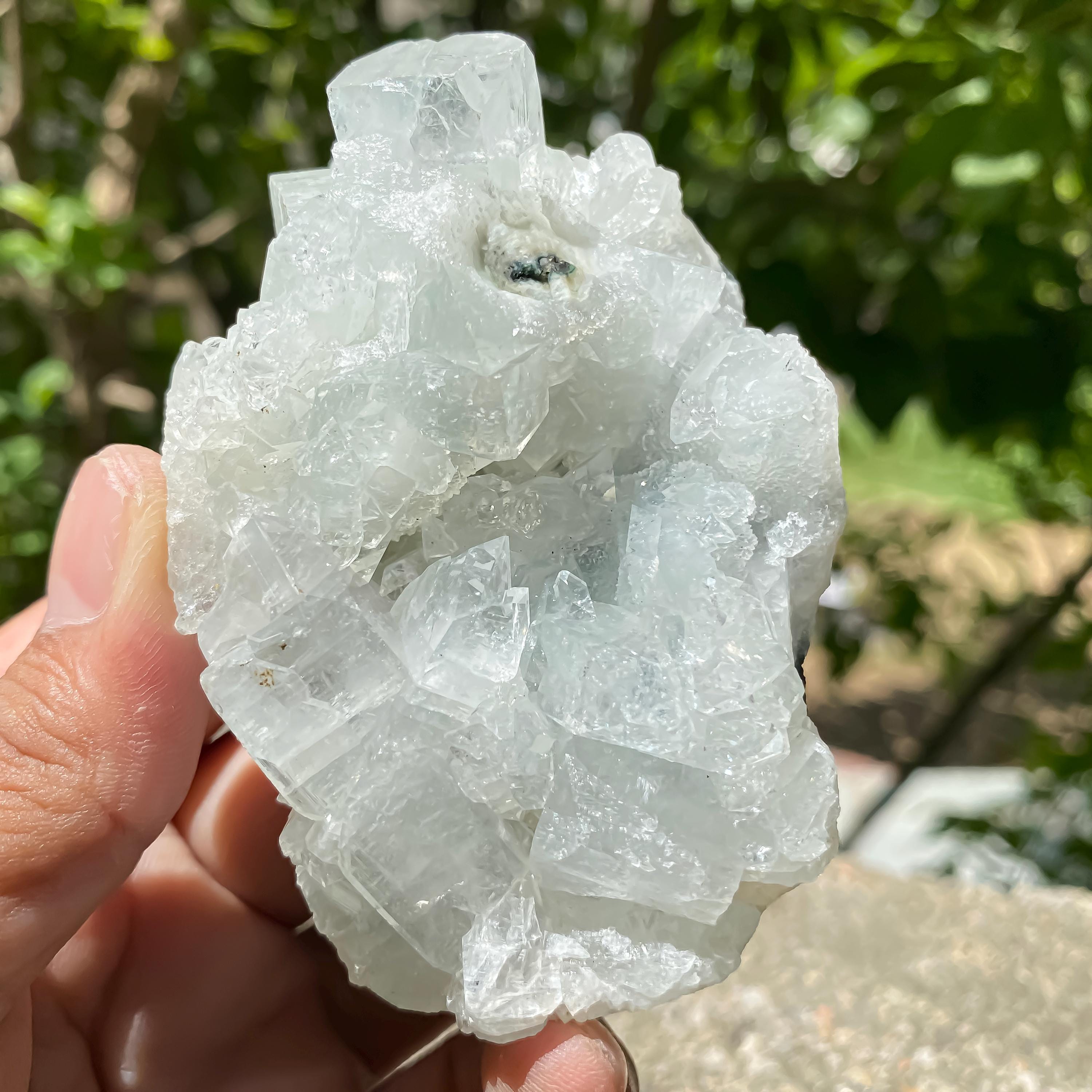 Natural Apophyllite Crystal Cluster  Clear Sparkling Healing Stone for Meditation & Energy Cleansing