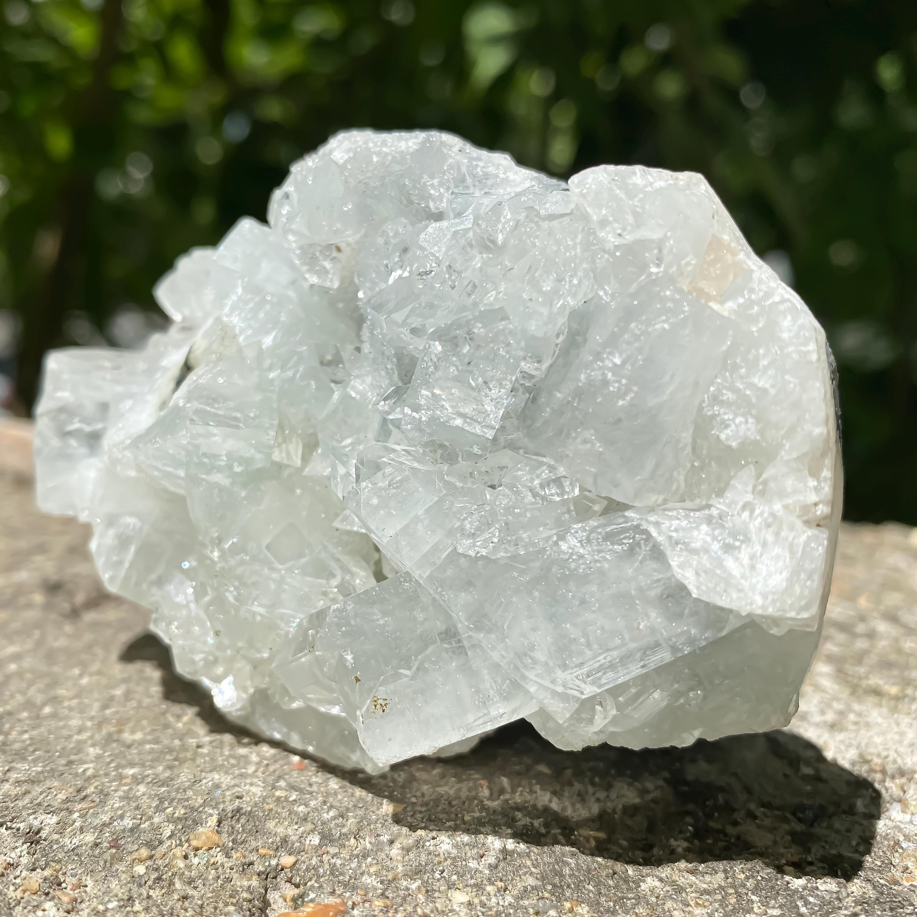 Natural Apophyllite Crystal Cluster  Clear Sparkling Healing Stone for Meditation & Energy Cleansing
