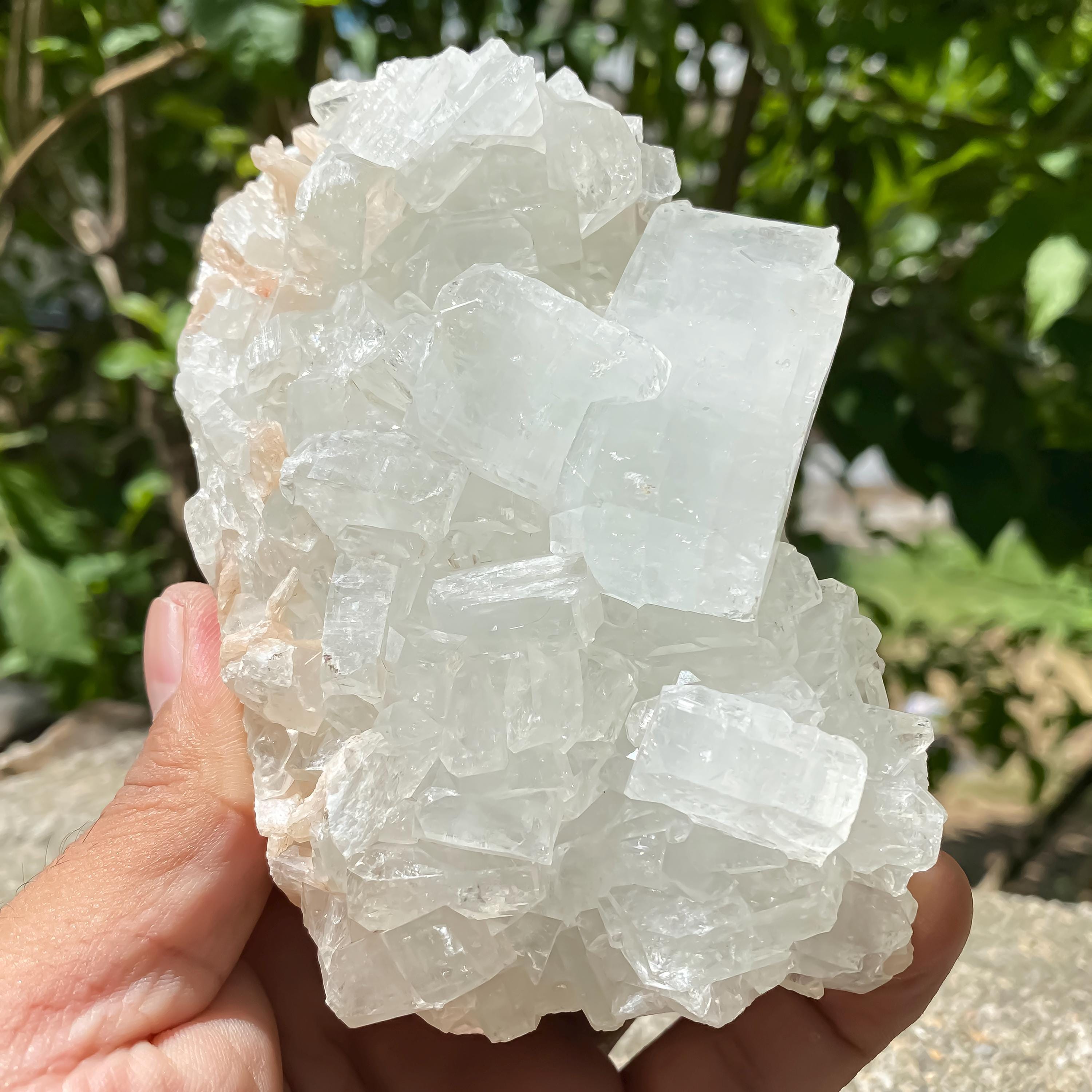 Natural White Apophyllite Cluster  593gm Druzy Crystal  Reiki Healing Stone Rough