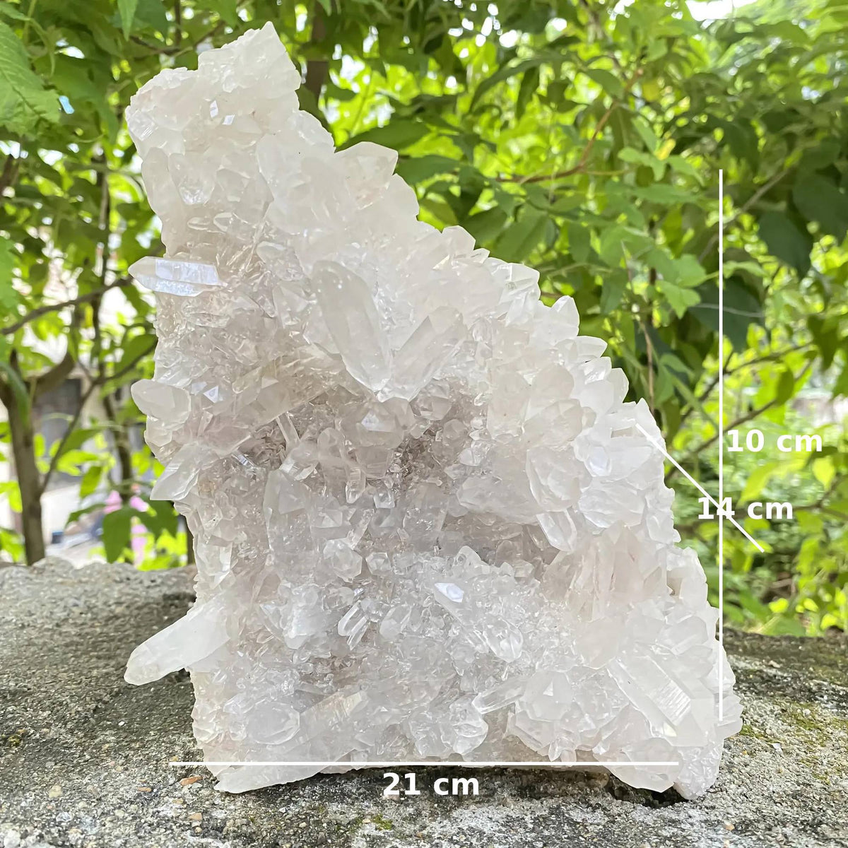 Natural White Quartz Himalayan Cluster 1550g Raw Display Specimen